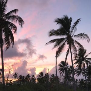 Meet your Posher, Justin